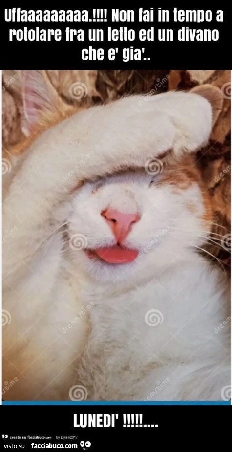Uffaaaaaaaaa. ! Non fai in tempo a rotolare fra un letto ed un divano che è già. Lunedì