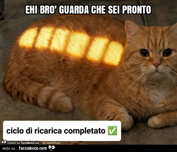 Ehi brò guarda che sei pronto
