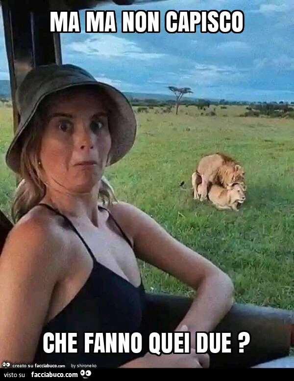 Ma ma non capisco che fanno quei due?