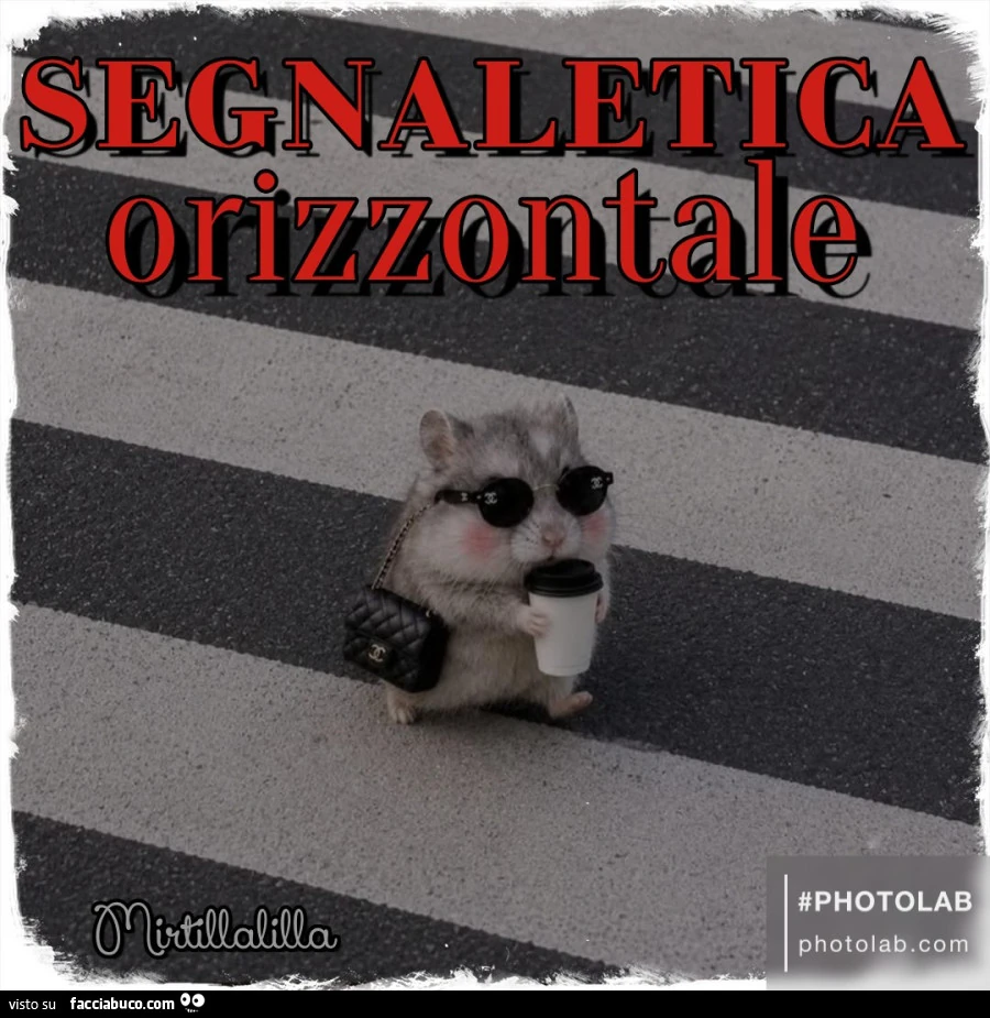 Segnaletica