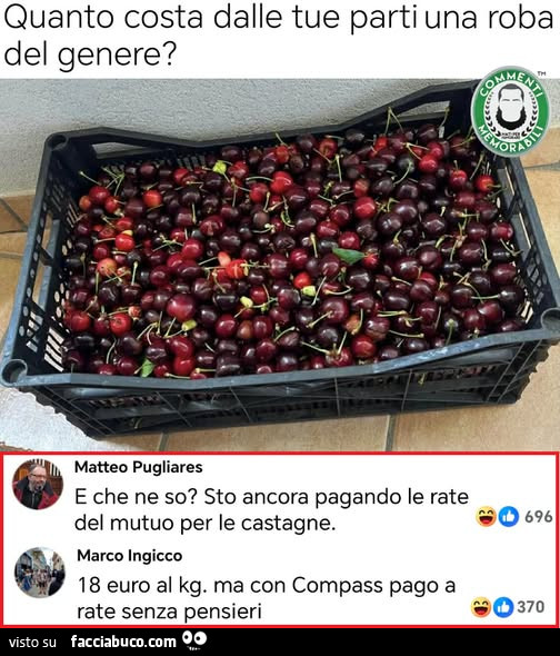 Vaccata