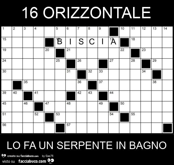16 orizzontale lo fa un serpente in bagno
