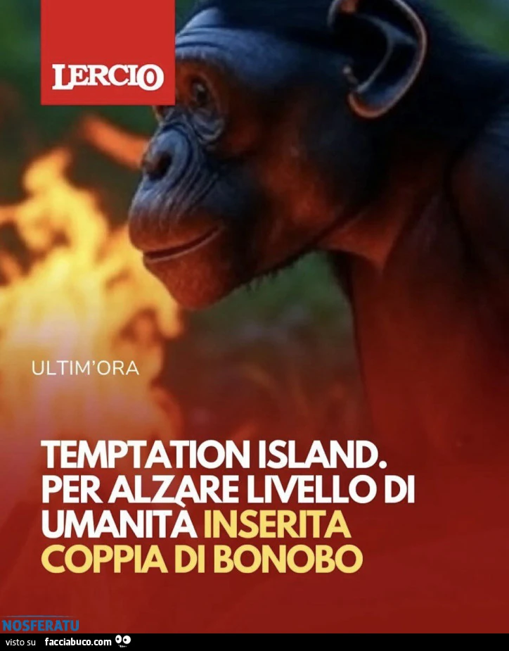 Il QI a Temptation Island