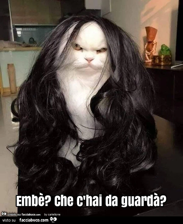 Embè? Che c'hai da guardà?