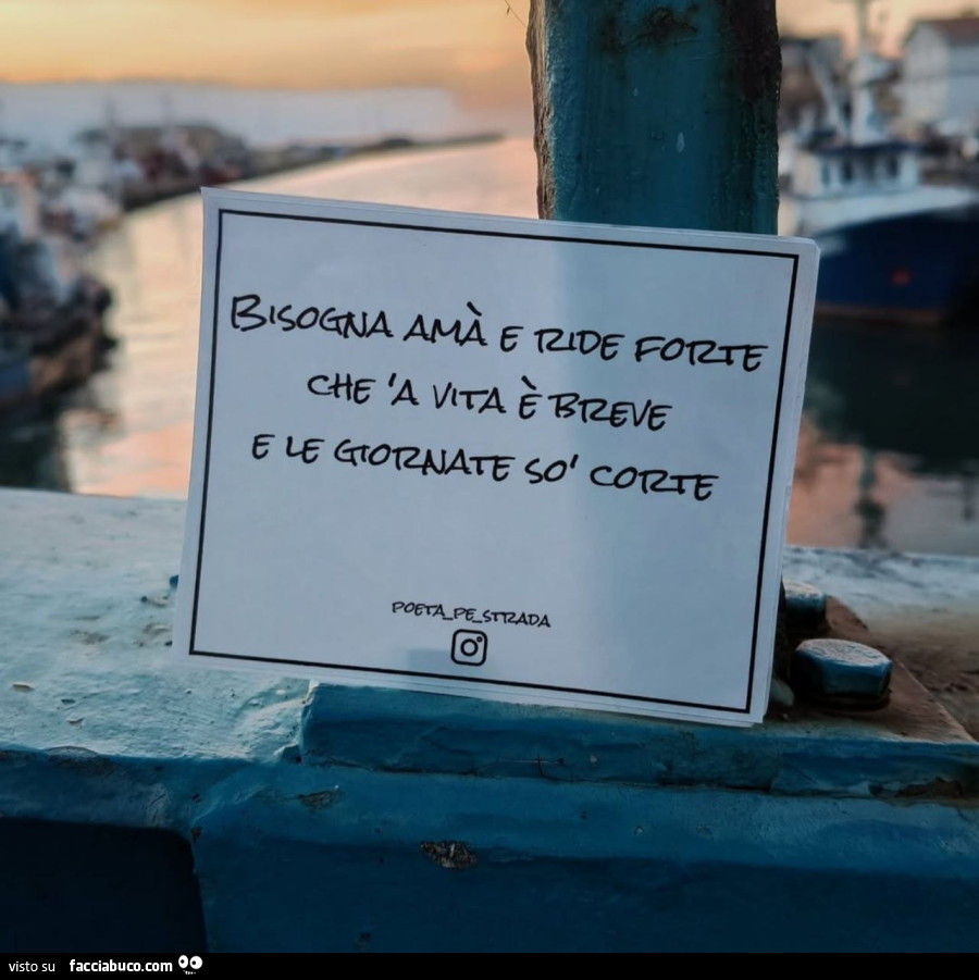 Vaccata