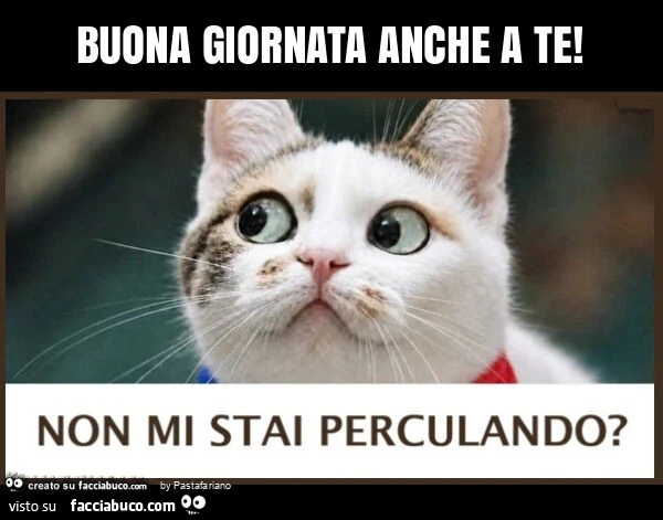 Buona giornata anche a te