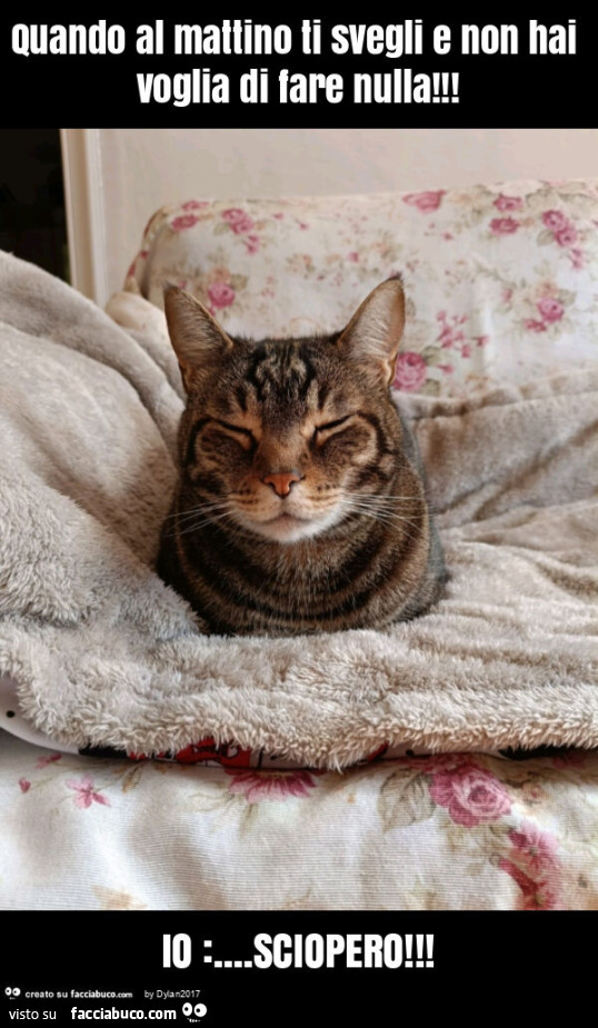 Quando al mattino ti svegli e non hai voglia di fare nulla! Io: &hellip; sciopero