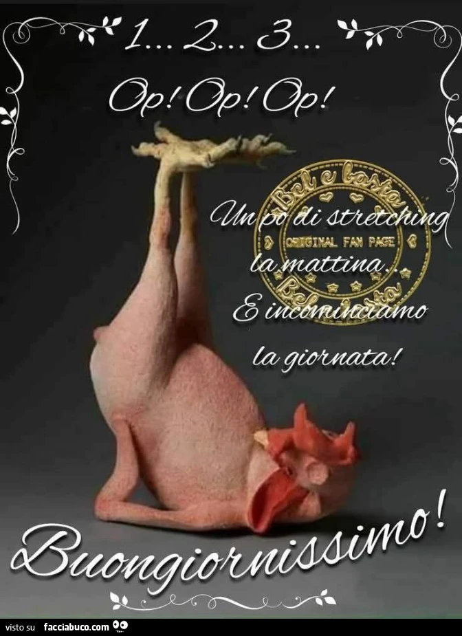 Vaccata