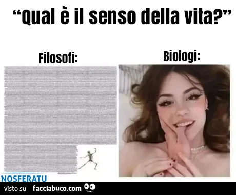 Il senso della vita