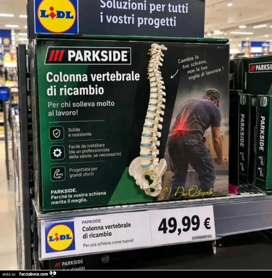 Colonna vertebrale di ricambio lidl parkside 49,99 euro