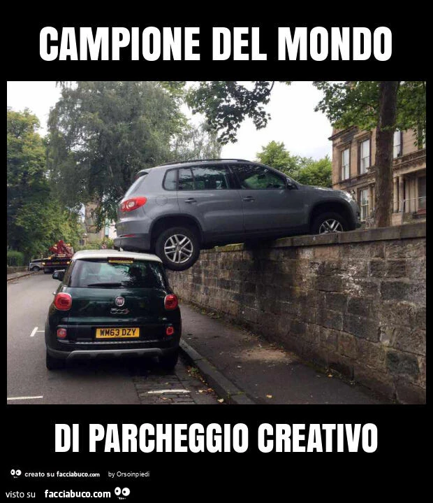 Campione del mondo di parcheggio creativo