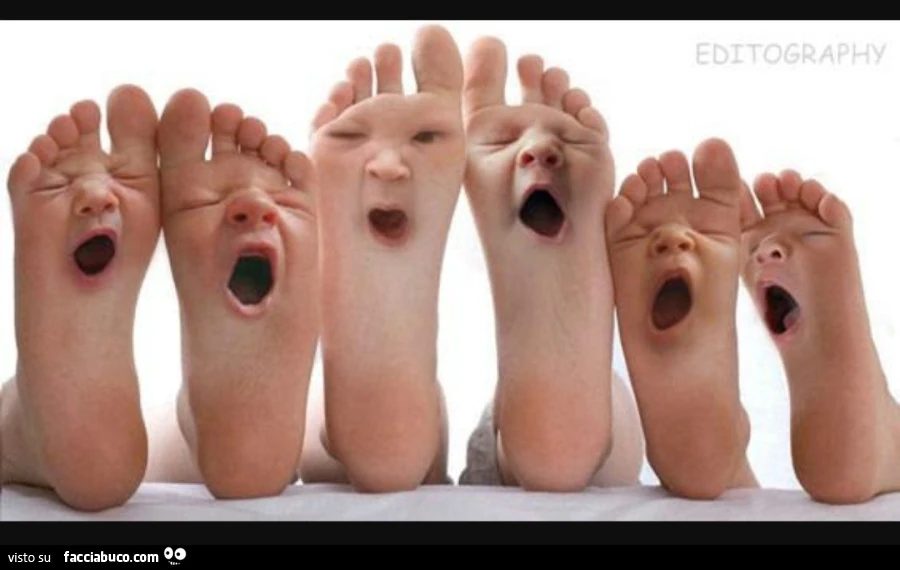 Piedi