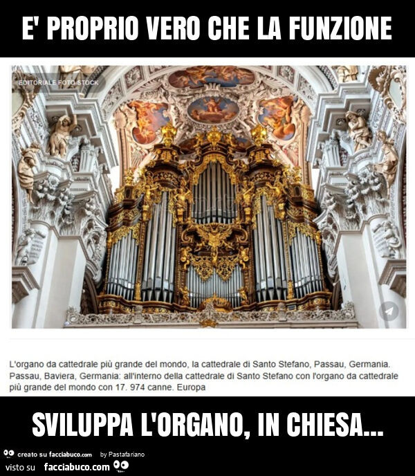 È proprio vero che la funzione sviluppa l'organo, in chiesa