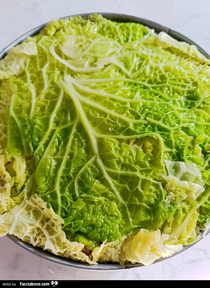 Vaccata