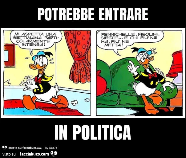 Potrebbe entrare in politica