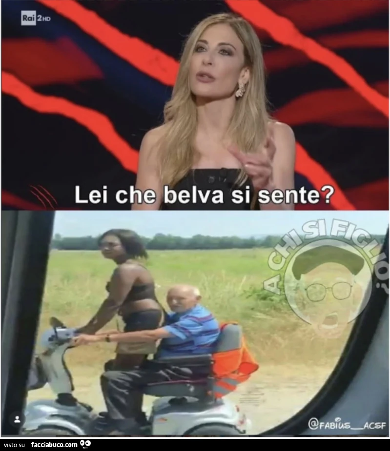Vaccata