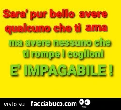 Sarà pur bello avere qualcuno che ti ama, ma avere nessuno che ti rompe i coglioni è impagabile
