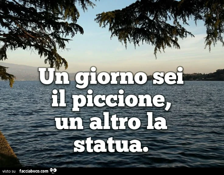 Piccioni e statue
