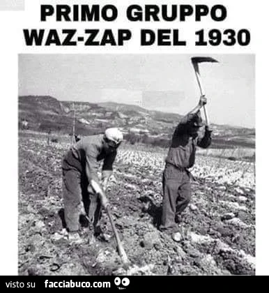 Vaccata