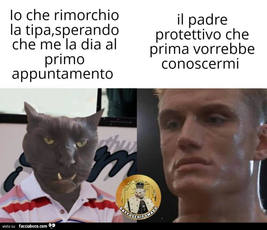 Vaccata