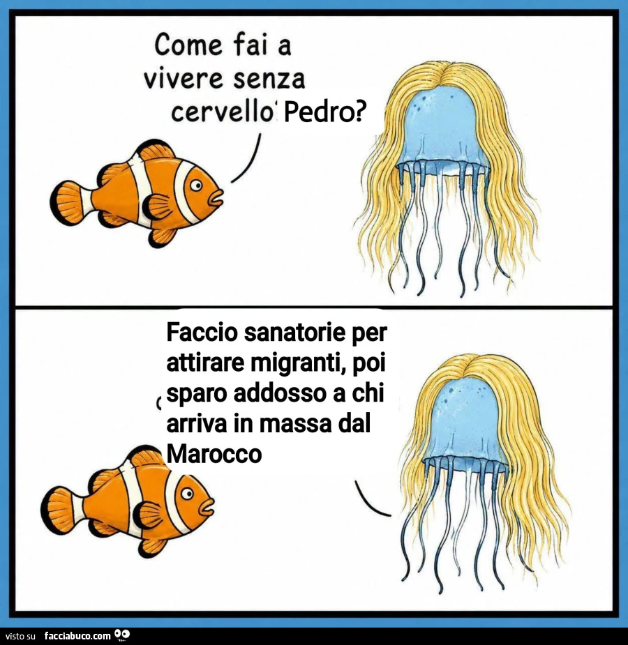 Vaccata