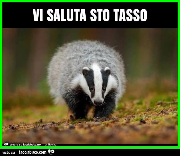 Vi saluta sto tasso