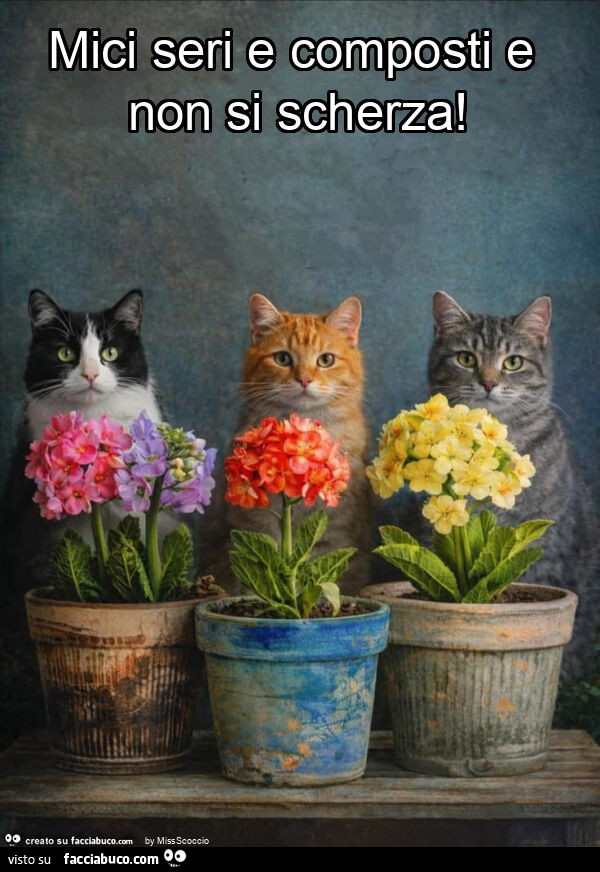 Mici seri e composti e non si scherza