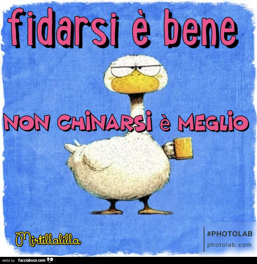 Fidarsi รจ bene