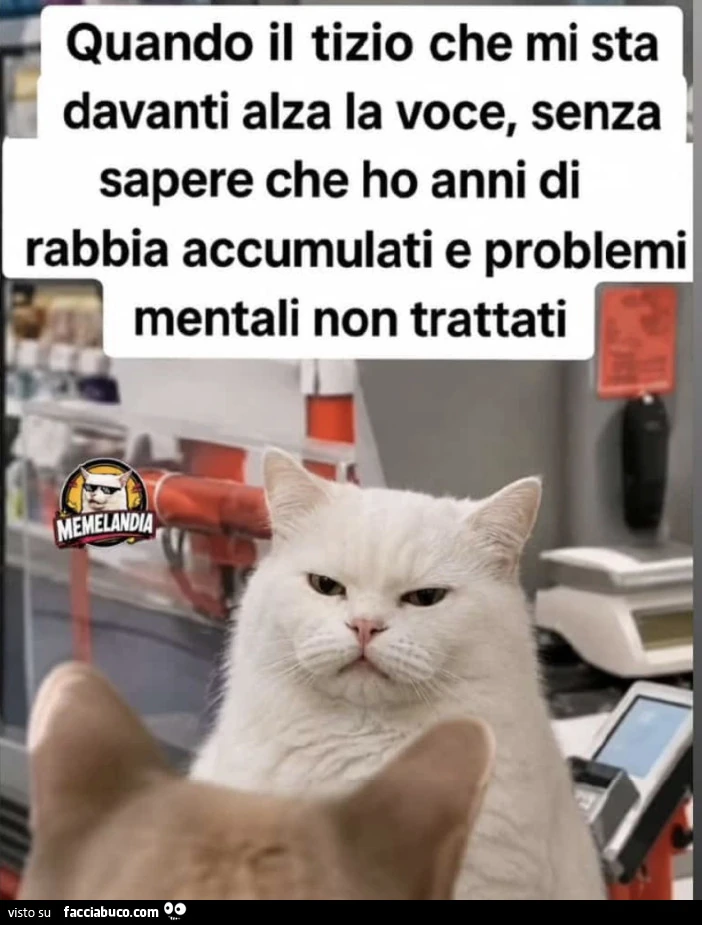 Vaccata