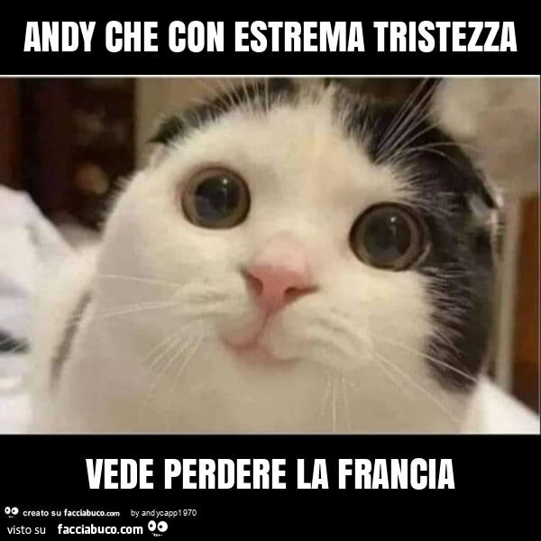 Andy che con estrema tristezza vede perdere la francia