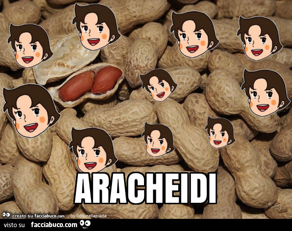 Aracheidi