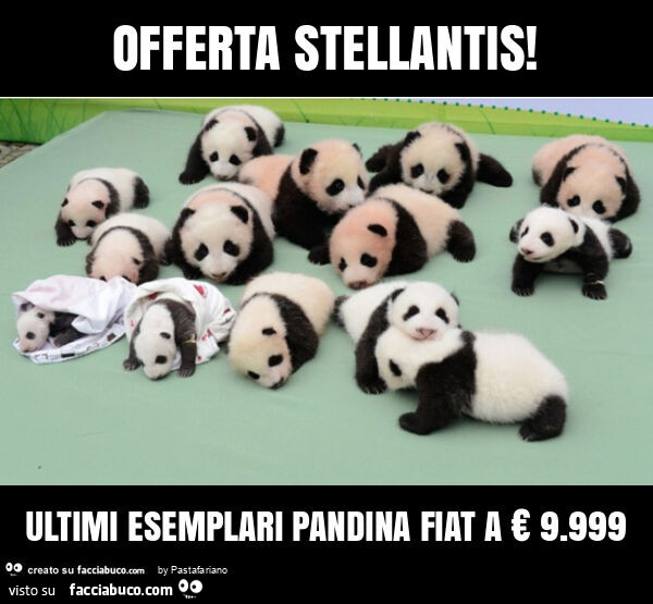 Offerta stellantis! Ultimi esemplari pandina fiat a € 9.999