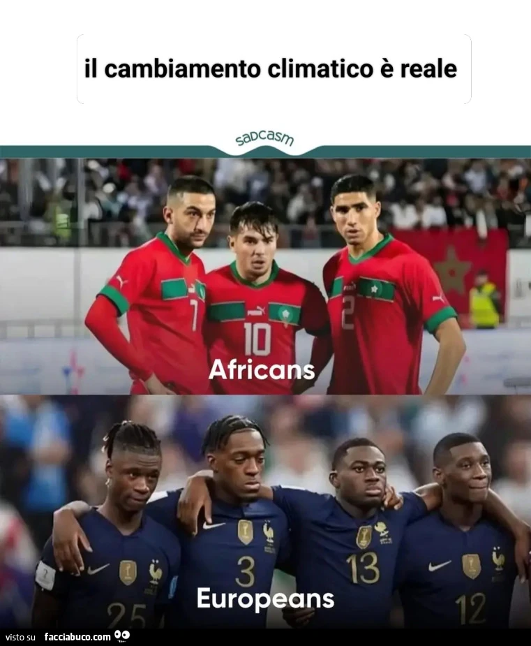 Vaccata