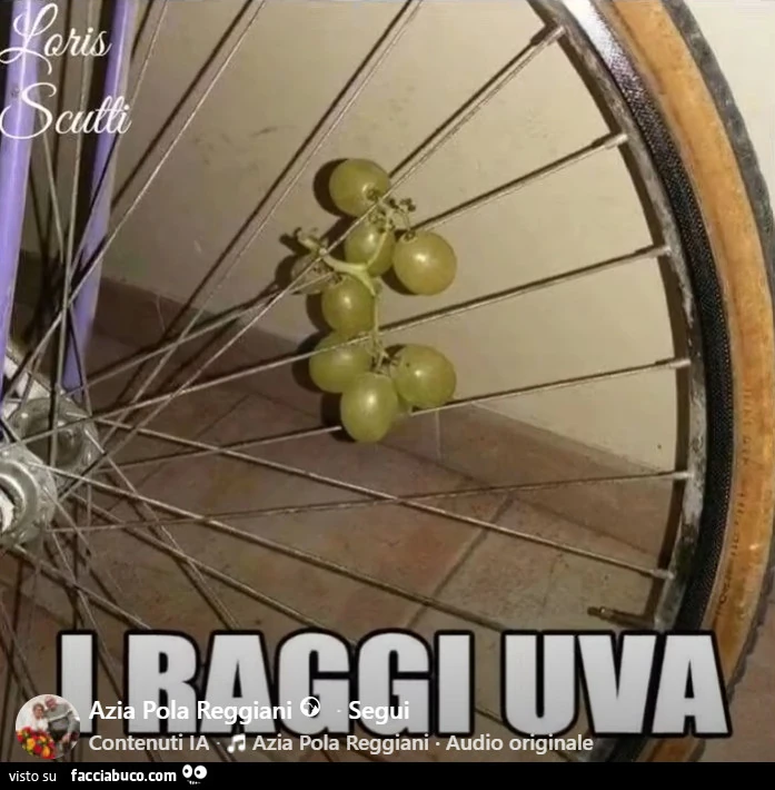 Vaccata