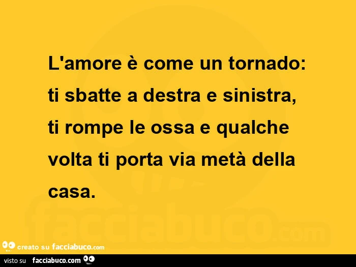 L'amore è come un tornado: ti sbatte a destra e sinistra, ti rompe le ossa e qualche volta ti porta via metà della casa