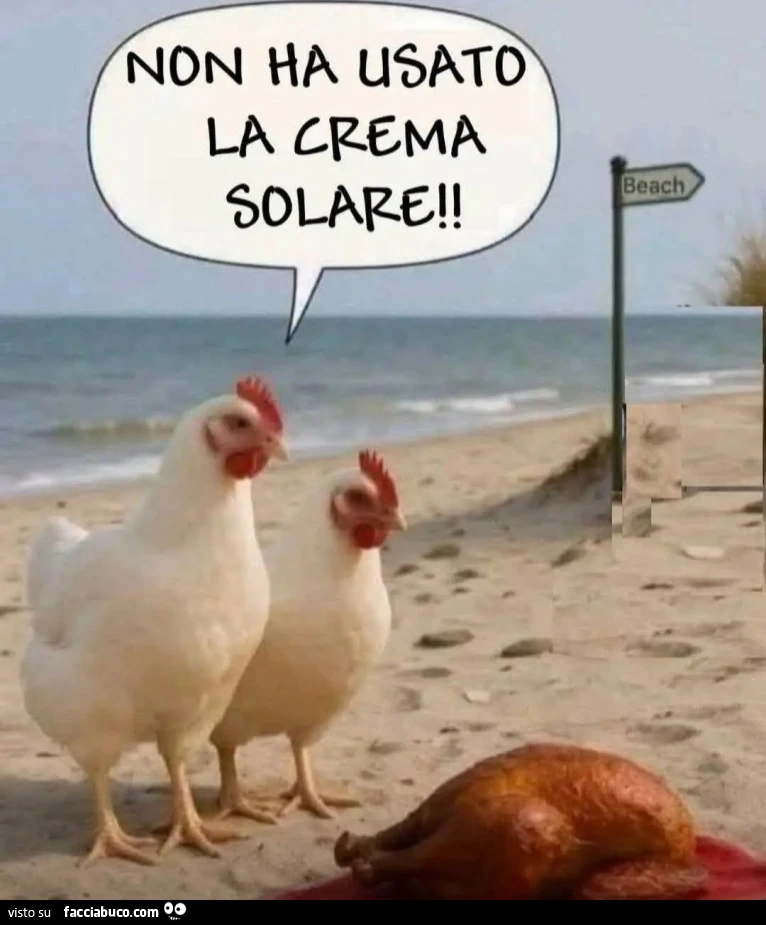 Pollo