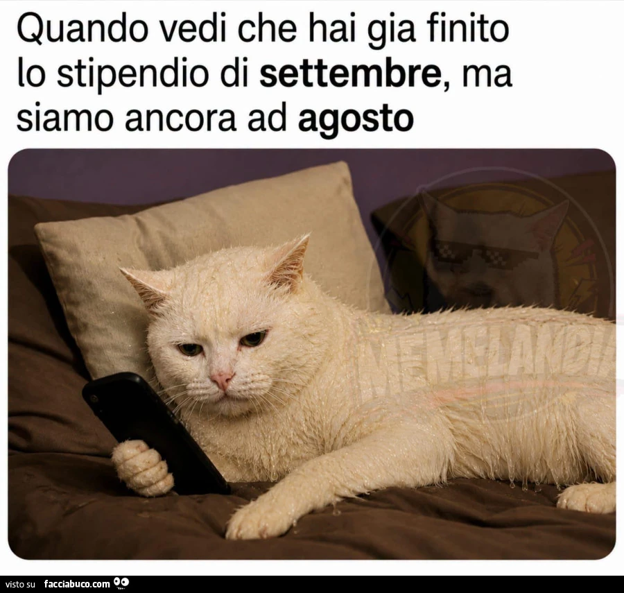 Vaccata
