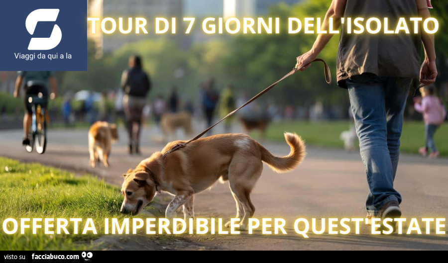 Aumento carburante meme