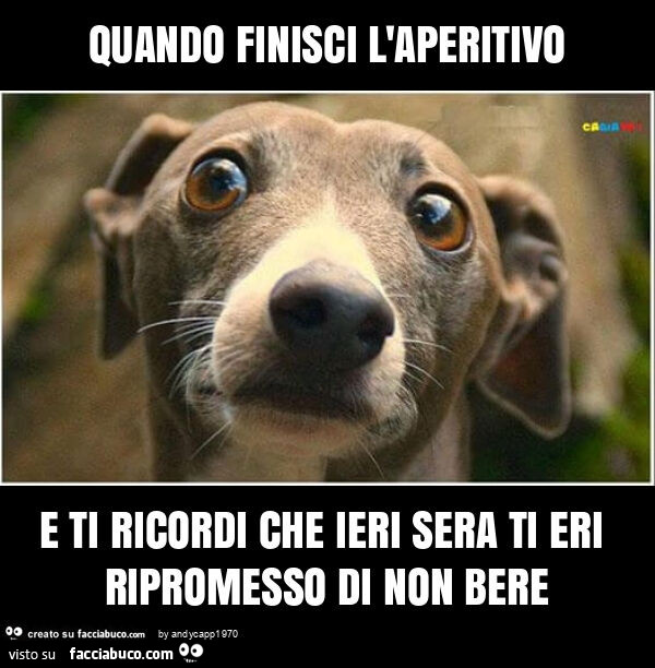 Quando finisci l'aperitivo e ti ricordi che ieri sera ti eri ripromesso di non bere