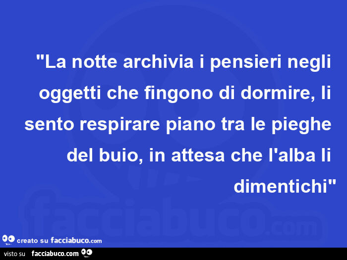 La notte archivia i pensieri negli oggetti che fingono di dormire, li sento respirare piano tra le pieghe del buio, in attesa che l'alba li dimentichi