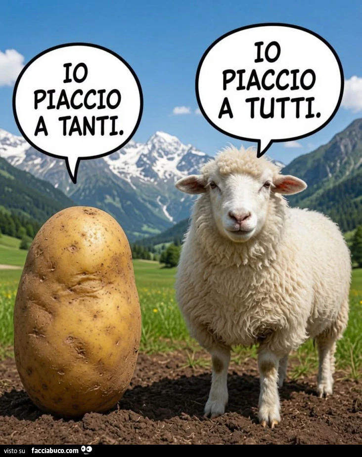 Vaccata