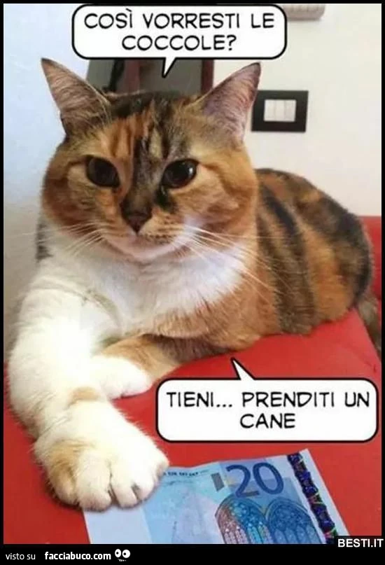 Vaccata