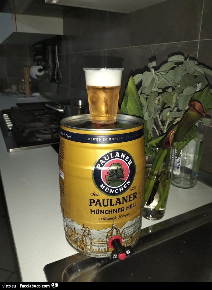 Birra paulaner