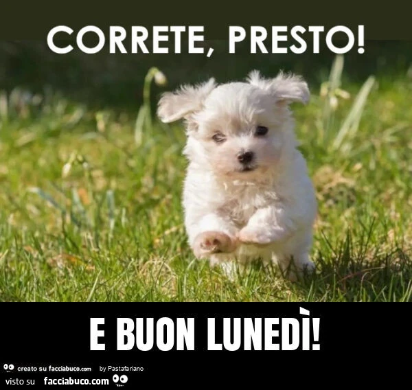 E buon lunedì