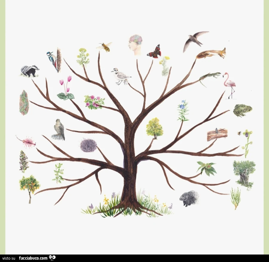 L'albero della natura