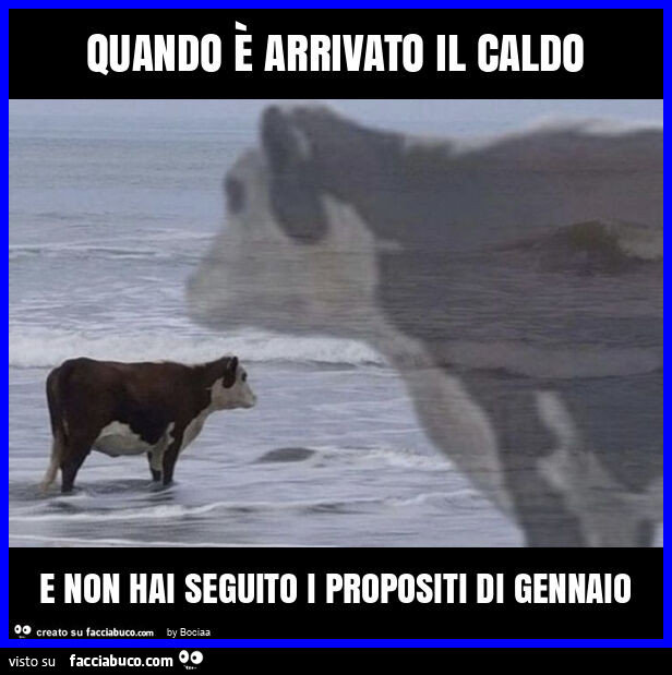 Quando è arrivato il caldo e non hai seguito i propositi di gennaio