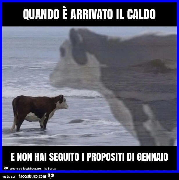 Quando è arrivato il caldo e non hai seguito i propositi di gennaio