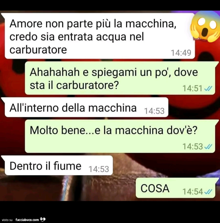 Vaccata