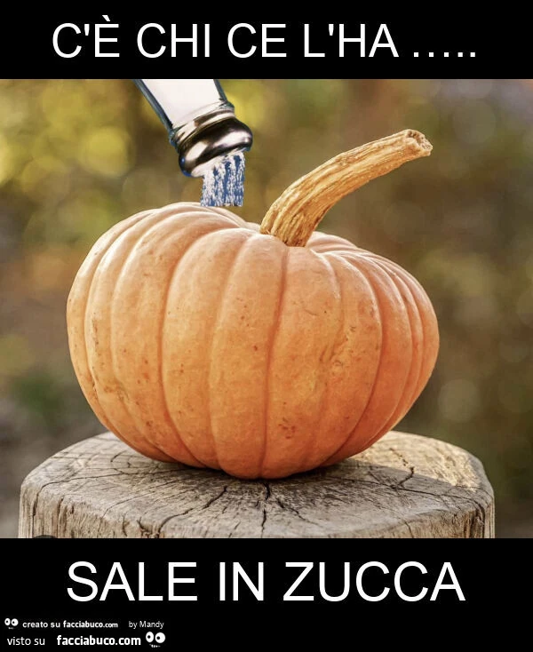 C'è chi ce l'ha &hellip; . Sale in zucca