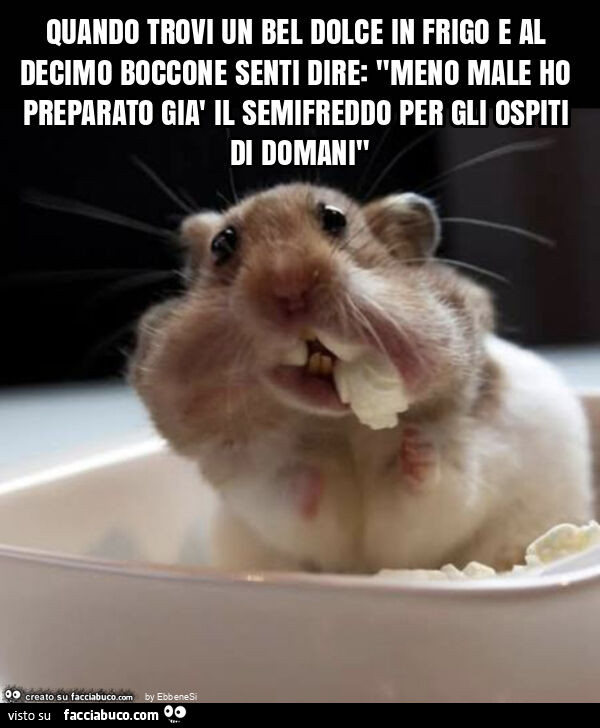 Quando trovi un bel dolce in frigo e al decimo boccone senti dire: "meno male ho preparato già il semifreddo per gli ospiti di domani"